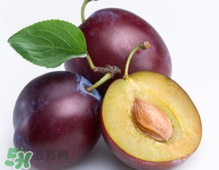 三華李可以放多久？三華李可以冷藏嗎？