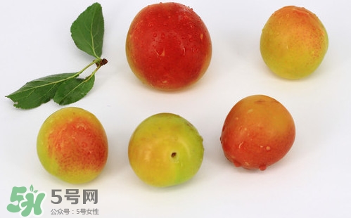 雙華李有什么營養(yǎng)？雙華李的營養(yǎng)價值