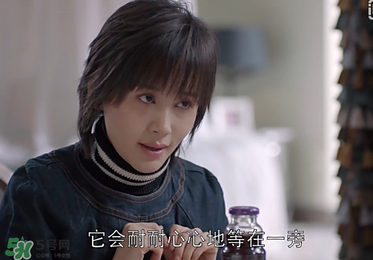蒼蠅粉是什么意思？蒼蠅粉是什么東西？