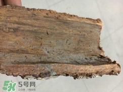 安哥拉樹皮的功效 安哥拉樹皮怎么用？