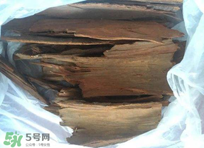 安哥拉樹皮能天天吃嗎？安哥拉樹皮天天吃可以嗎？