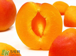 杏子幾月成熟？杏子什么時(shí)候成熟？