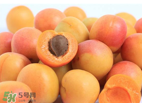 杏子一天吃幾個？杏子一次可以吃多少？