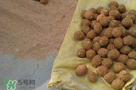 松花蛋是怎么做出來(lái)的？松花蛋的家庭腌制方法