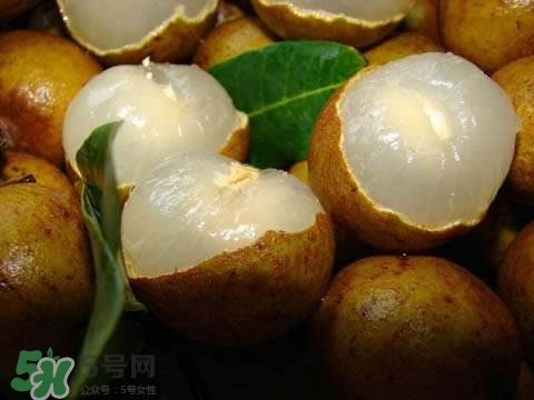 龍眼和桂圓是一種東西嗎？龍眼和桂圓的區(qū)別
