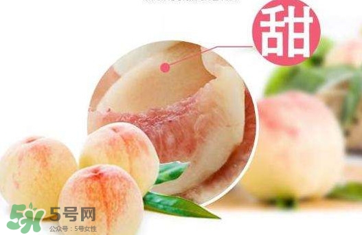陽山水蜜桃多少錢一斤？無錫陽山水蜜桃價格