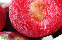 雙華李幾月可以吃？雙華李什么季節(jié)成熟