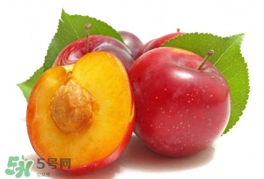 三華李可以放多久？三華李可以冷藏嗎？