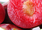 雙華李幾月可以吃？雙華李什么季節(jié)成熟