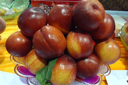 三華李可以用鹽泡嗎？三華李能用鹽水泡嗎