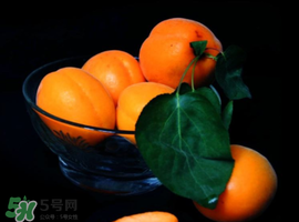 杏子可以和芒果一起吃嗎？吃完杏子可以吃芒果嗎？