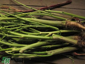 莧菜桿能吃嗎？莧菜桿子可以吃嗎？