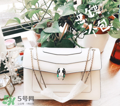 寶格麗蛇頭包有哪幾種尺寸？寶格麗蛇頭包尺寸介紹