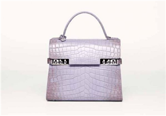 delvaux2017春夏系列包包款式有哪些_好看嗎？