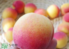 杏的熱量高嗎？一個杏的熱量是多少？
