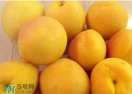 杏吃多了會(huì)怎么樣？杏吃多了會(huì)不會(huì)上火?