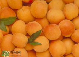 杏怎么催熟？杏怎么放熟的快？