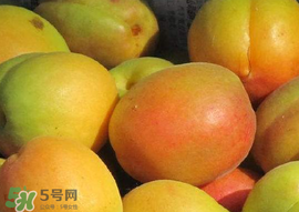 杏怎么催熟？杏怎么放熟的快？