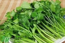 香菜洗腎有科學(xué)依據(jù)么？香菜能洗腎是真的嗎？