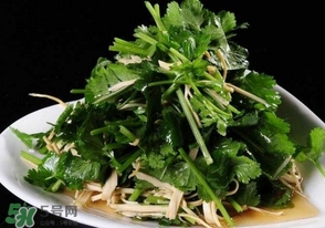 香菜是什么菜？香菜是陽(yáng)痿草嗎？