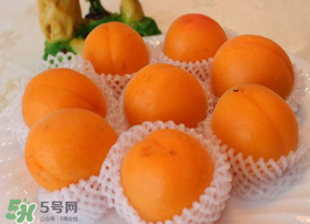 杏子可以放冰箱嗎？杏子可以冷藏嗎？