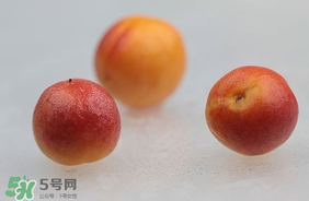 杏子怎么保存？長(zhǎng)杏子怎么保存時(shí)間長(zhǎng)？
