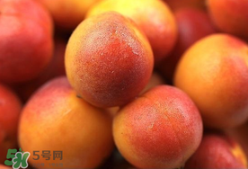 新鮮杏子可以放冰箱嗎？新鮮杏子怎么保存？