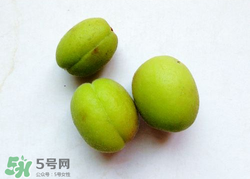 青杏怎么催熟？青杏怎么變黃？