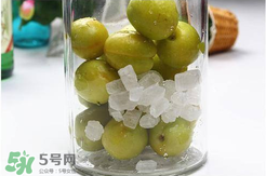 青杏酒怎么做？青杏酒的功效與作用