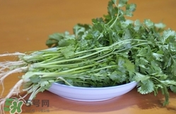 香菜是寒性食物嗎？香菜是熱性還是涼性？