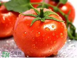 杏和西紅柿能一起吃嗎？杏子能和西紅柿一起吃嗎？