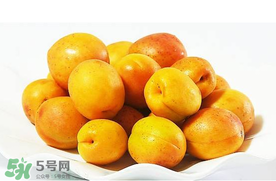杏和荔枝能一起吃嗎？杏和荔枝一起吃會中毒嗎？