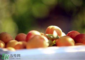杏子好吃嗎？杏子可以多吃嗎？