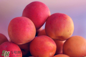 杏子好吃嗎？杏子可以多吃嗎？