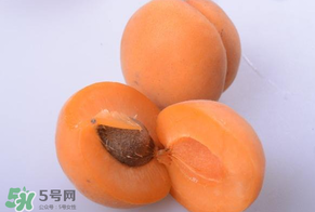 杏子好吃嗎？杏子可以多吃嗎？