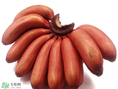 紅香蕉好吃嗎？紅香蕉味道怎么樣？