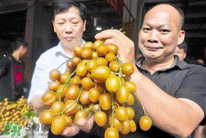 黃皮好吃嗎？黃皮是什么味道？