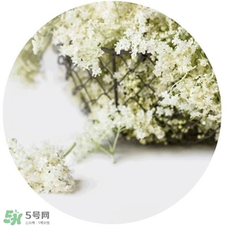 lululun plus面膜怎么樣？lululun plus面膜哪款好