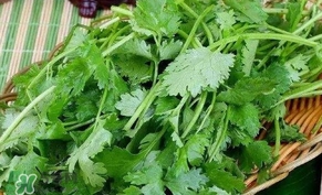 香菜洗腎有科學(xué)依據(jù)么？香菜能洗腎是真的嗎？