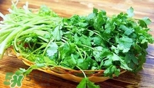 香菜是寒性食物嗎？香菜是熱性還是涼性？