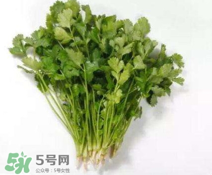 香菜洗腎有科學(xué)依據(jù)么？香菜能洗腎是真的嗎？