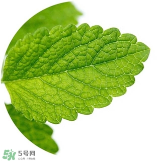 lululun plus面膜怎么樣？lululun plus面膜哪款好