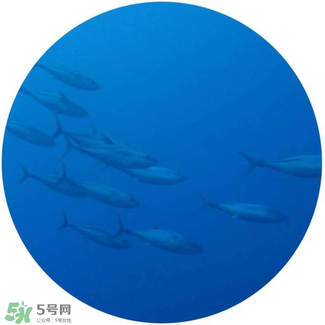 lululun plus面膜怎么樣？lululun plus面膜哪款好