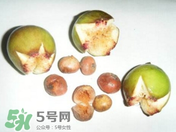 野地瓜滕熬水吃能治療什么病？野地瓜怎么吃