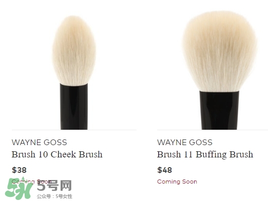 wayne goss是什么牌子？wayne goss化妝刷怎么樣？