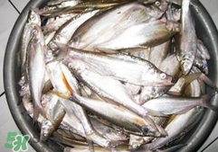 翹殼是什么魚？翹殼魚多少錢一斤2017？