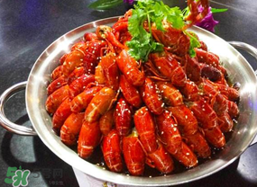 油燜大蝦吃哪些部位？怎么正確吃油燜大蝦？