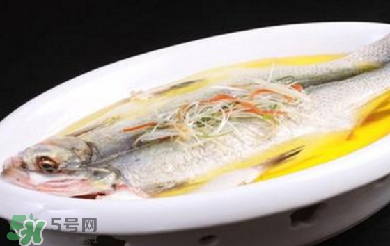 孕婦可以吃白條魚嗎？白條魚孕婦能吃嗎？