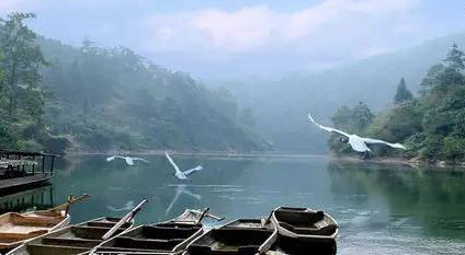 馬口魚能養(yǎng)殖嗎？馬口魚怎么養(yǎng)？