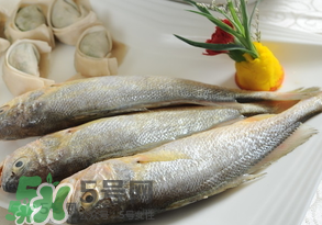 黃魚多少錢一斤？黃魚多少錢一斤2017？